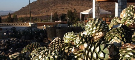 mezcal_artesanal_mexcalito_02